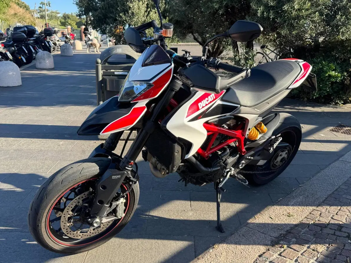 Ducati Hypermotard 821 SP (2013 - 15) (8)
