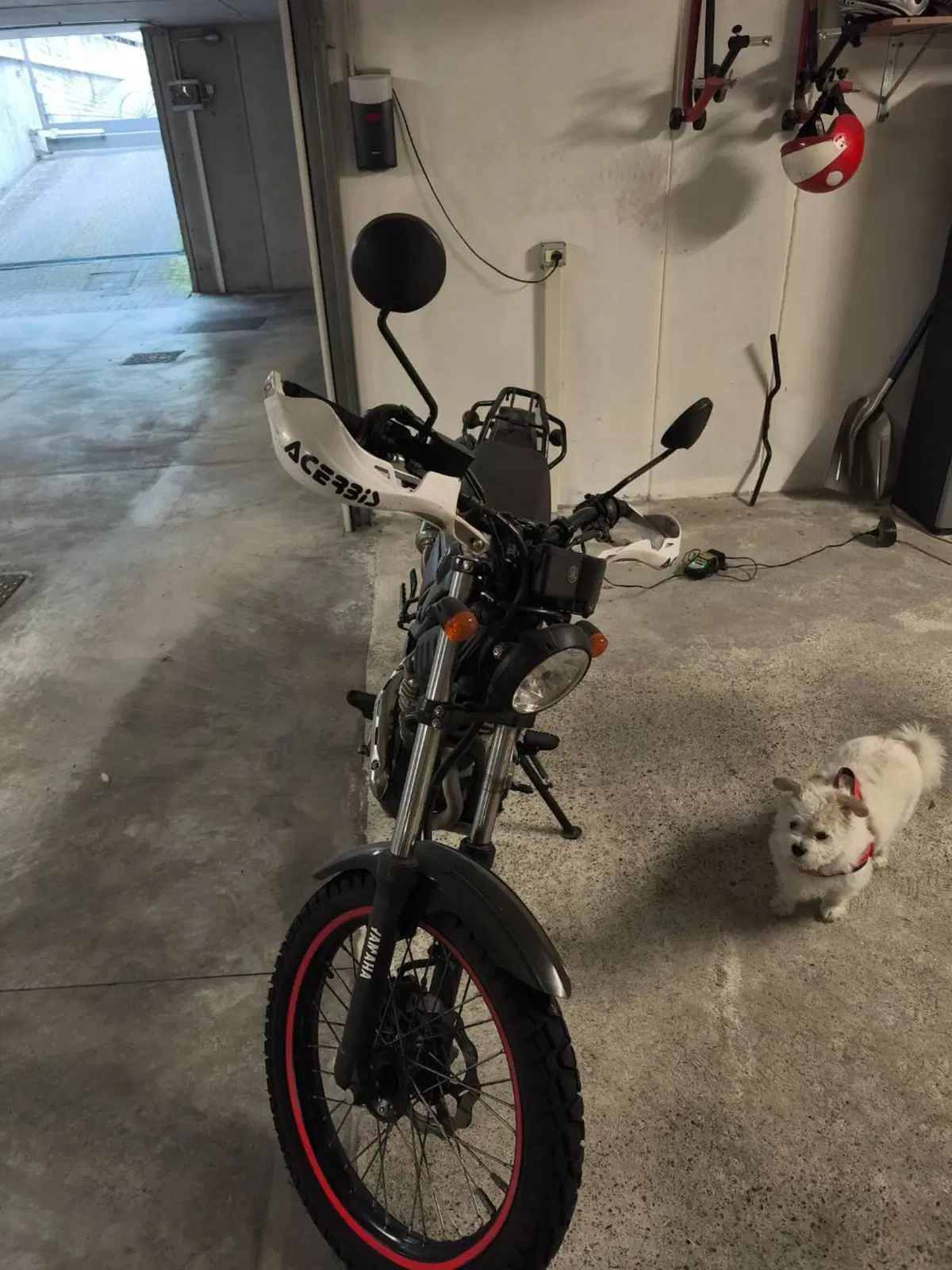 Yamaha Tricker (2006 - 13) (6)