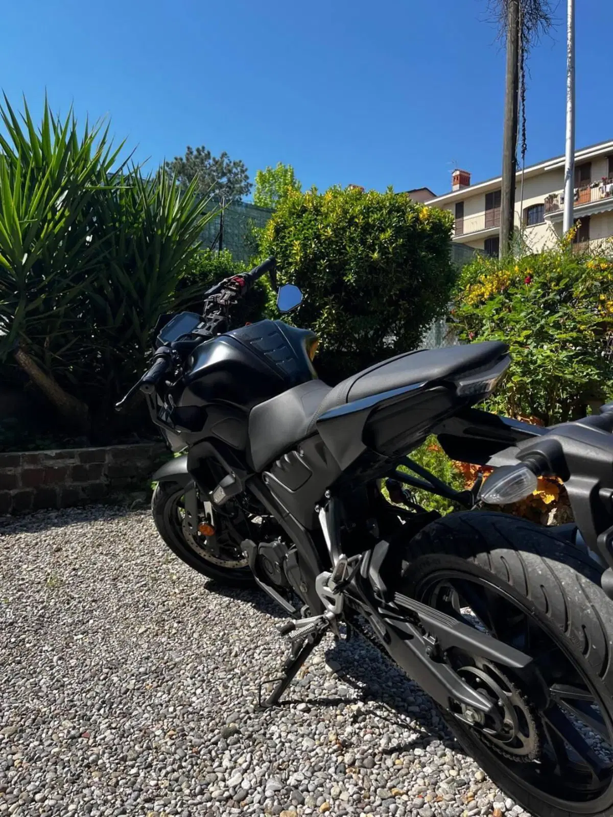 Yamaha MT-125 (2021 - 24) (5)