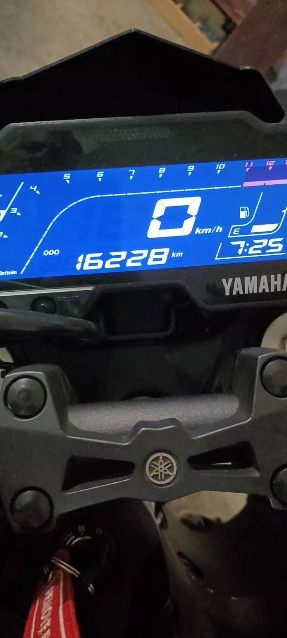 Yamaha MT-125 (2021 - 24) (7)