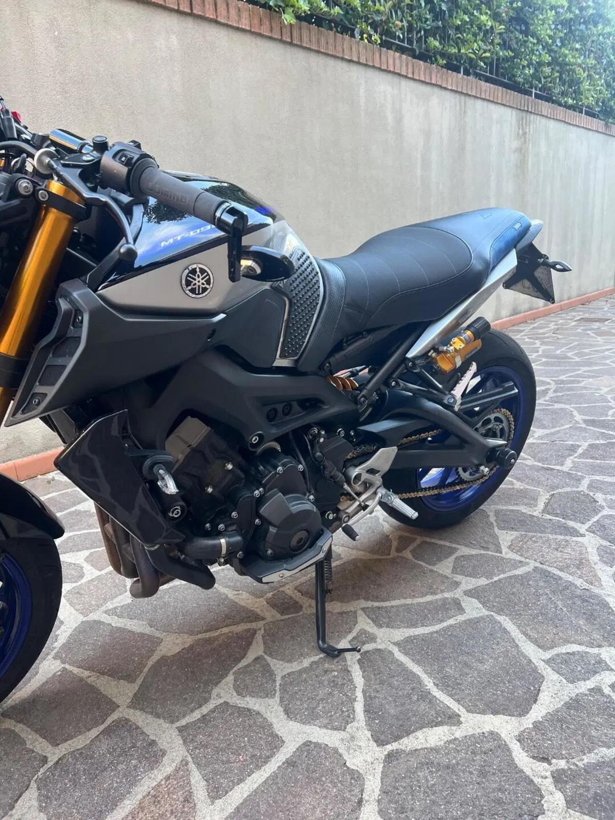 Yamaha MT-09 SP (2018 - 20) (2)