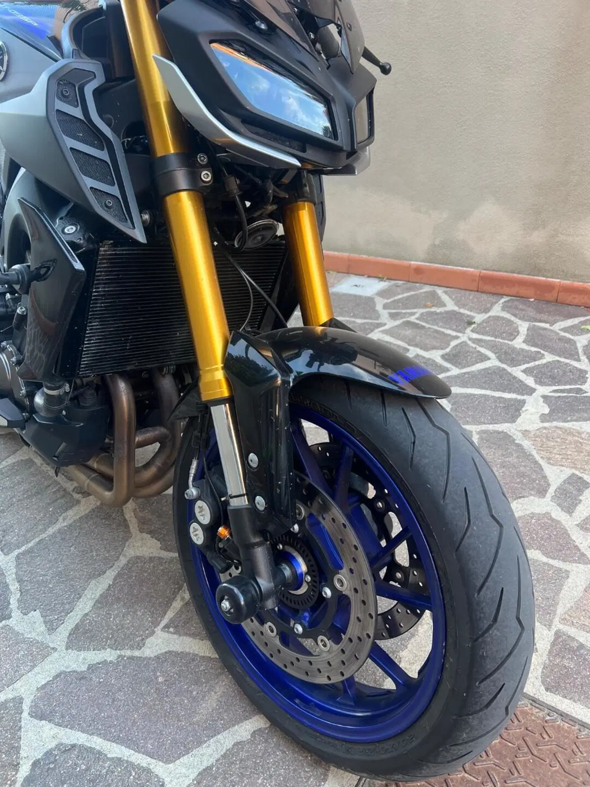 Yamaha MT-09 SP (2018 - 20) (5)