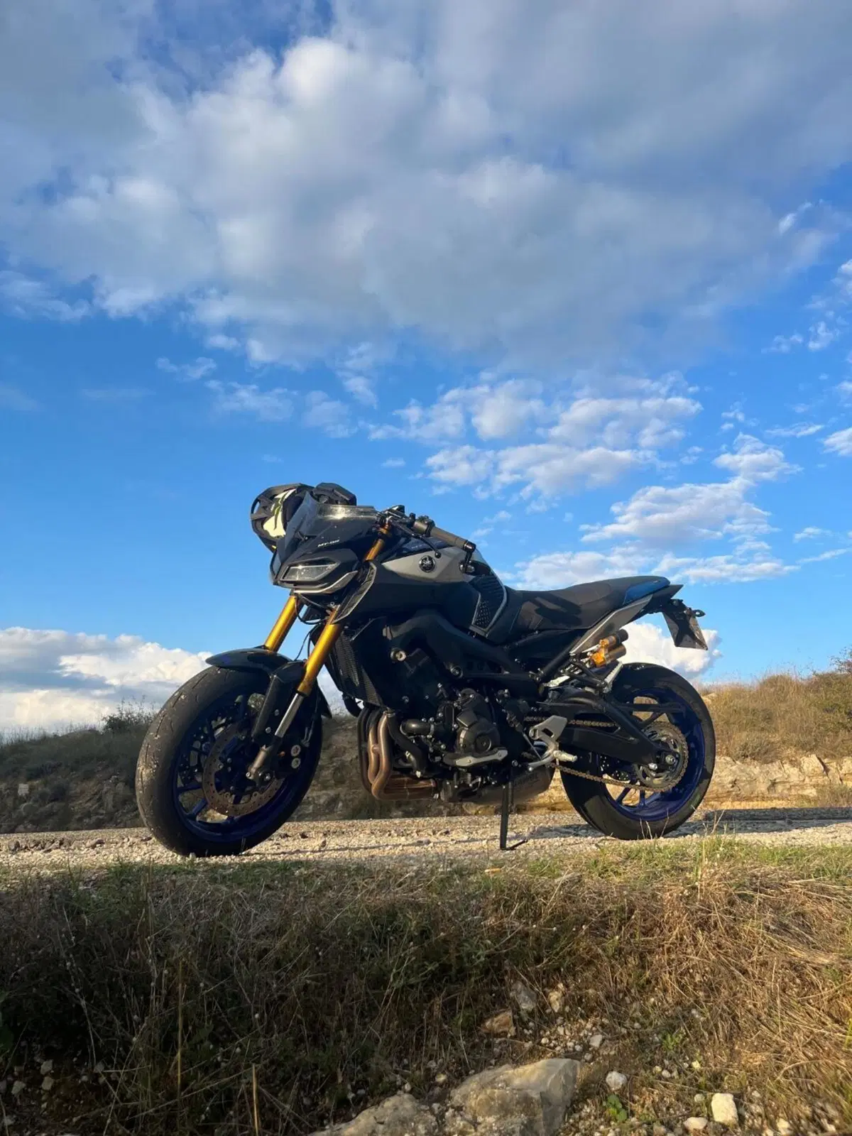Yamaha MT-09 SP (2018 - 20) (7)