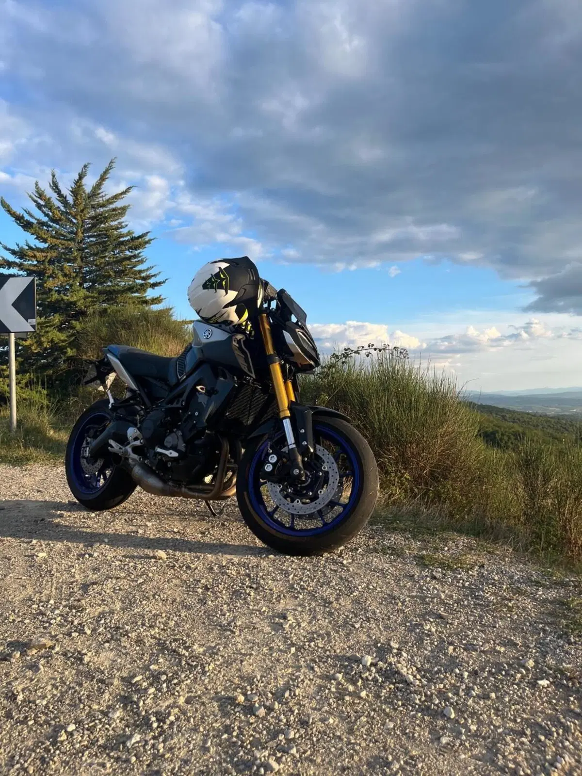 Yamaha MT-09 SP (2018 - 20) (9)
