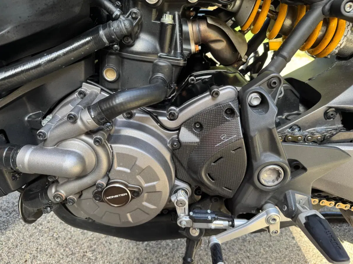 Ducati Monster 821 (2018 - 20) (10)