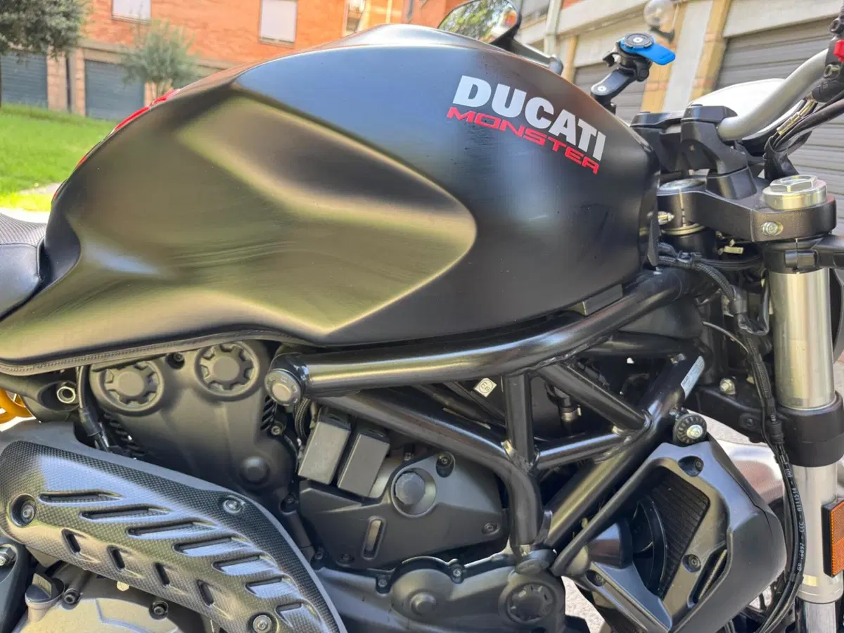 Ducati Monster 821 (2018 - 20) (14)