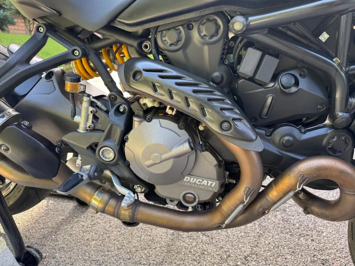 Ducati Monster 821 (2018 - 20) (15)