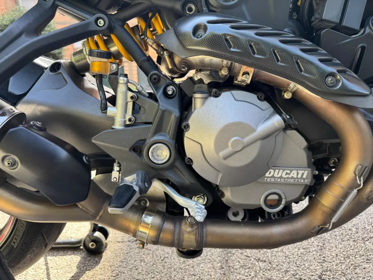 Ducati Monster 821 (2018 - 20) (18)