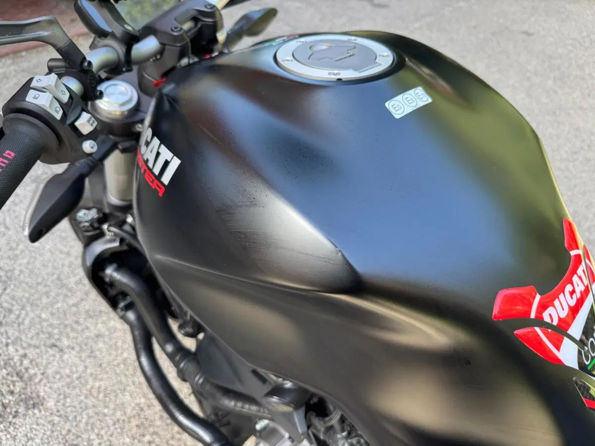Ducati Monster 821 (2018 - 20) (20)