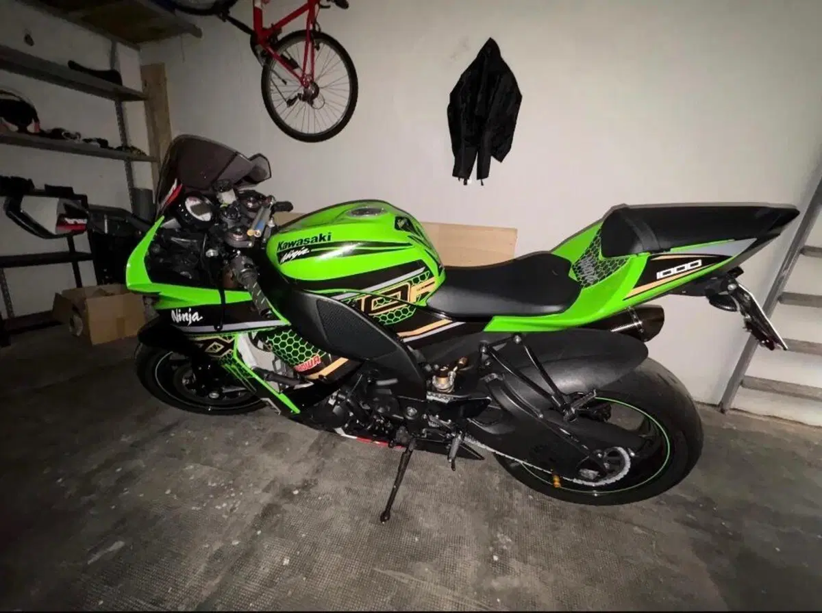 Kawasaki Ninja 1000 ZX-10R (2008 - 09) (3)