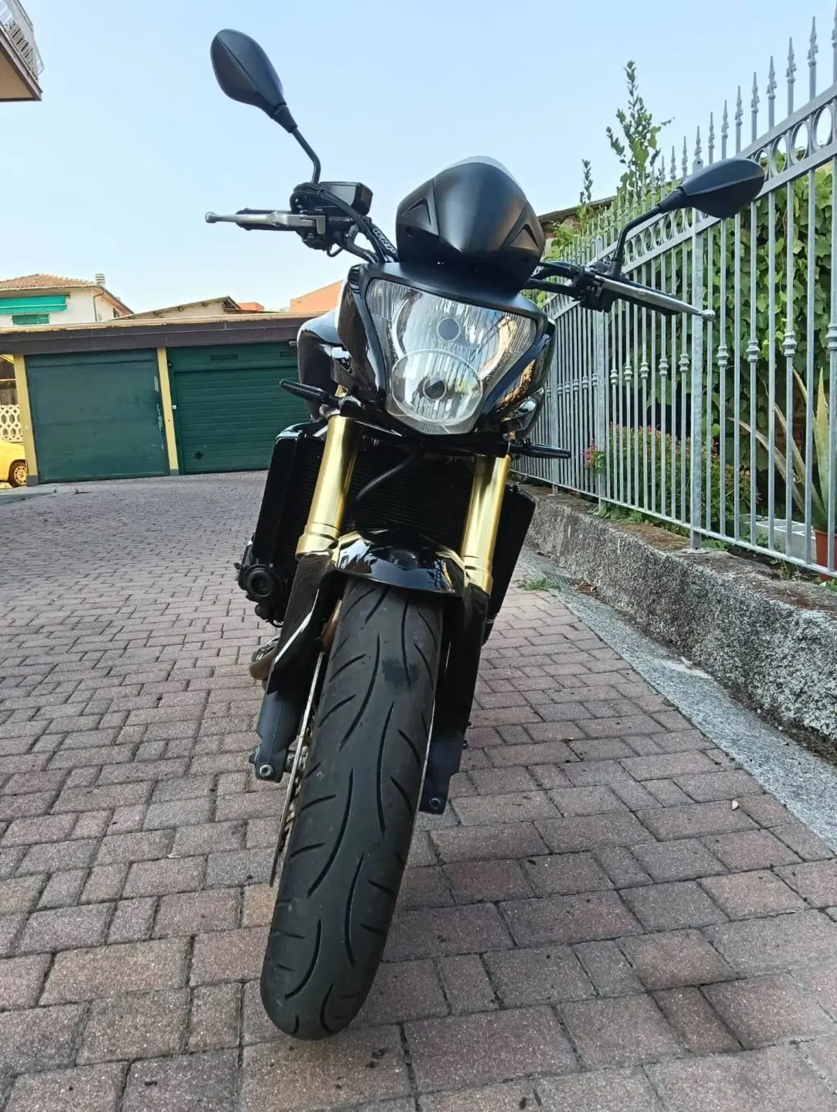 Honda Hornet 600 (2007 - 10) (2)