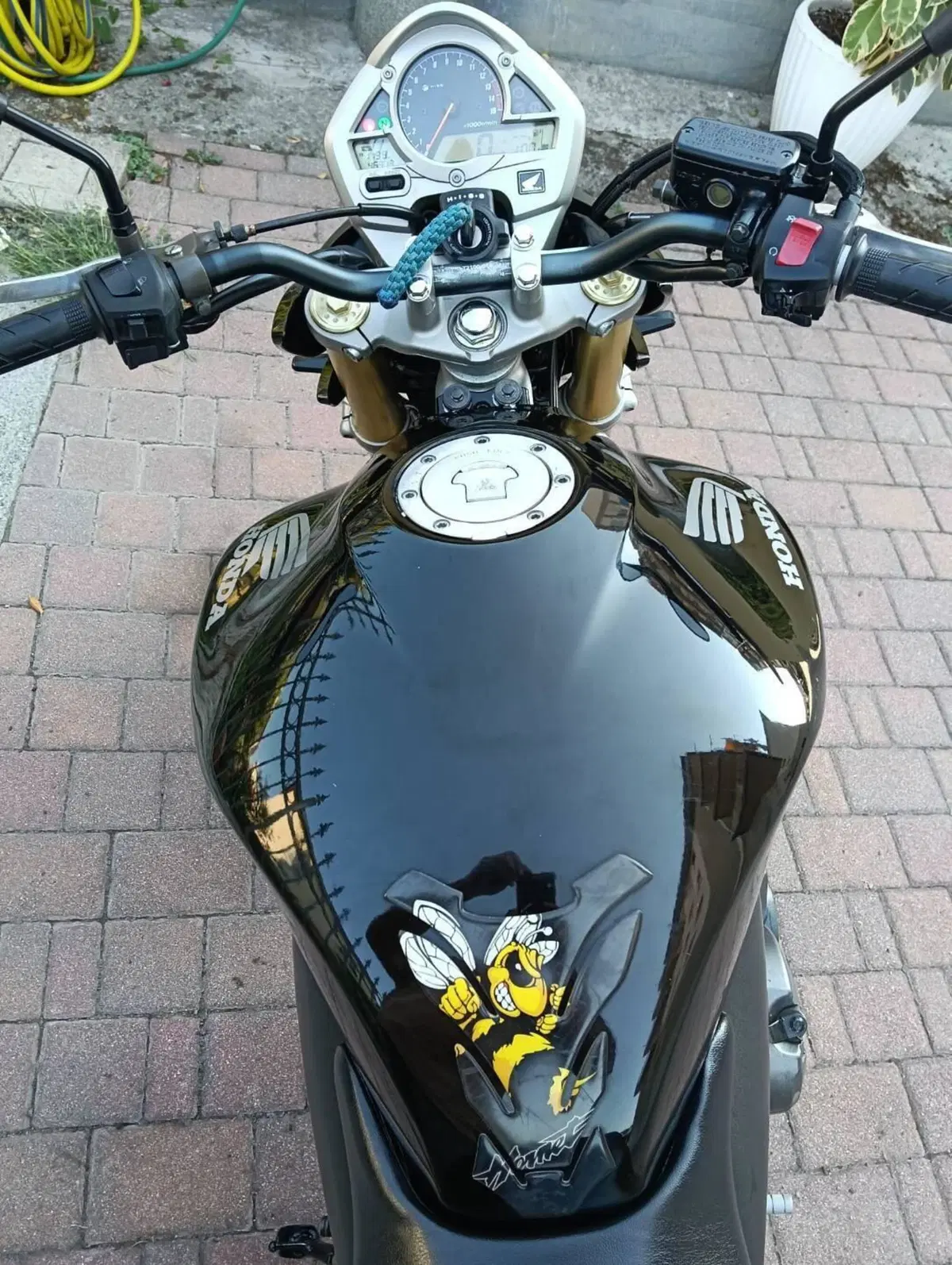 Honda Hornet 600 (2007 - 10) (4)