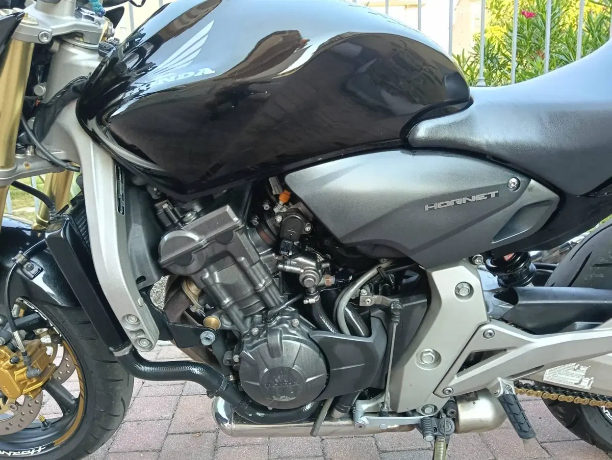 Honda Hornet 600 (2007 - 10) (11)