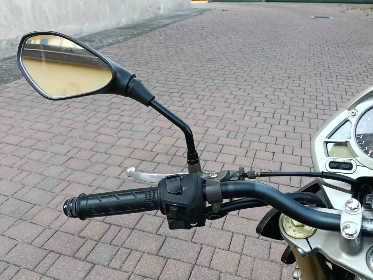 Honda Hornet 600 (2007 - 10) (13)