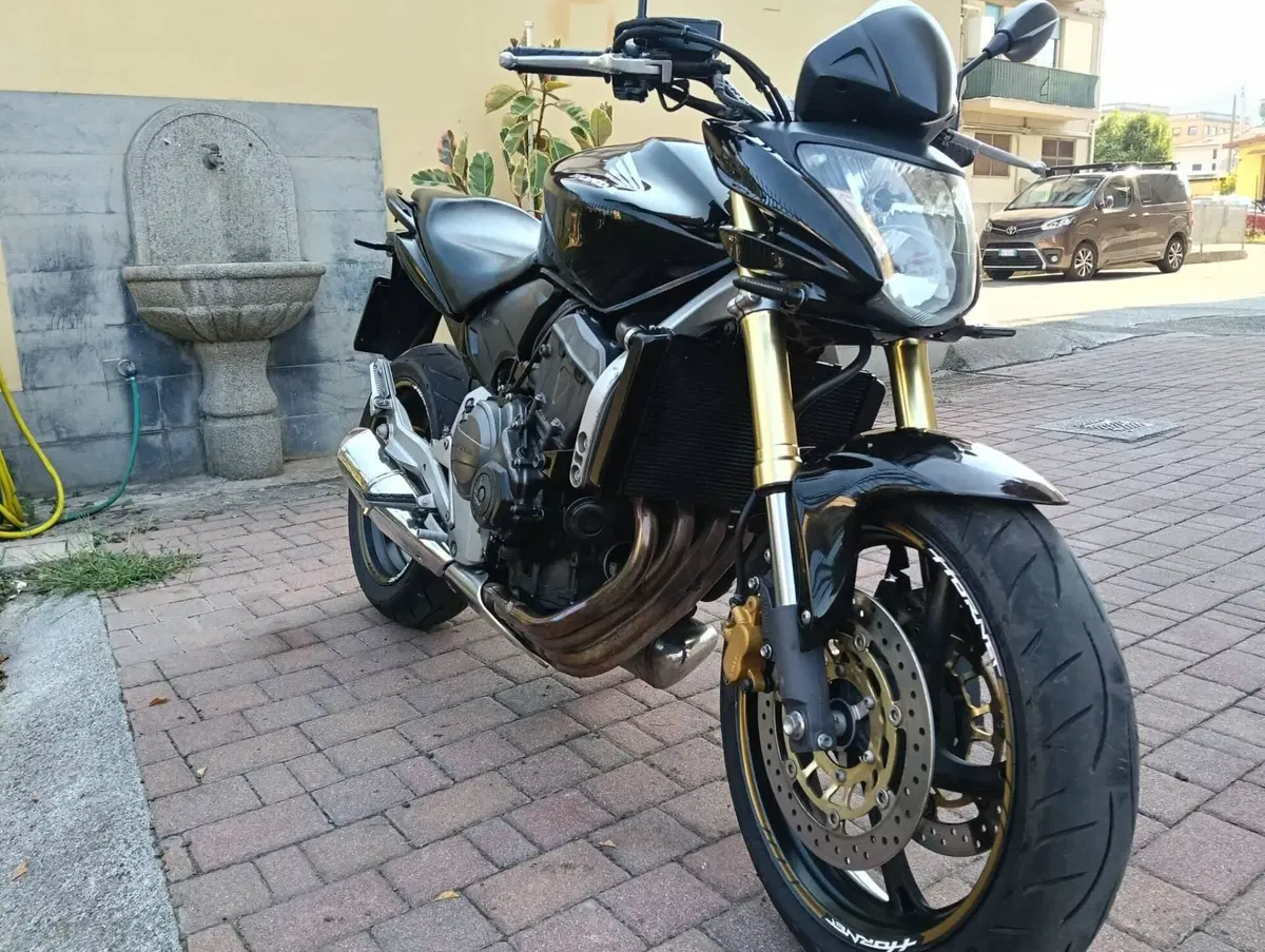 Honda Hornet 600 (2007 - 10) (14)