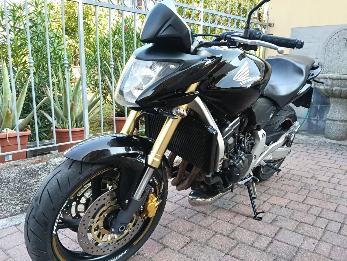 Honda Hornet 600 (2007 - 10) (15)