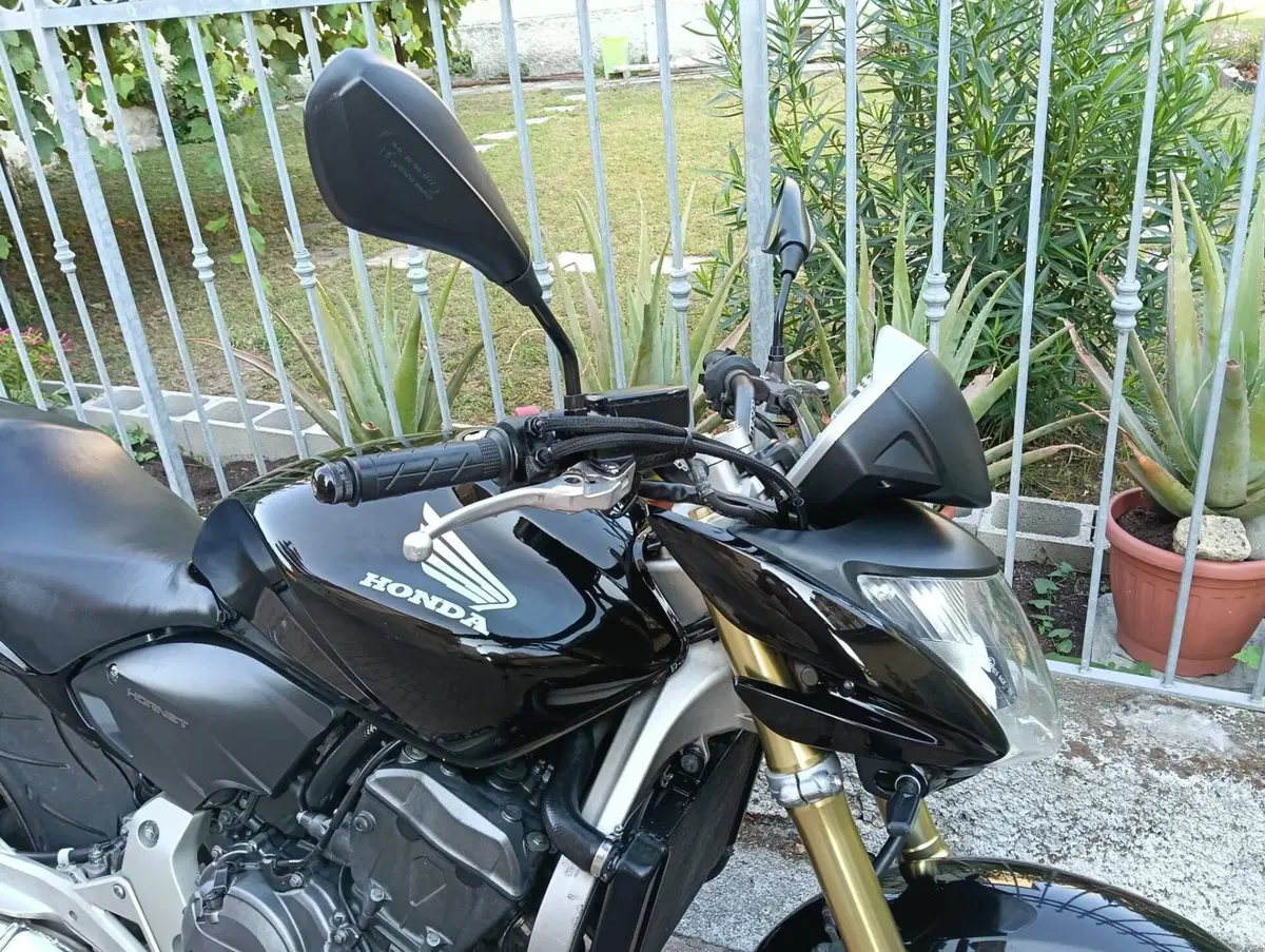Honda Hornet 600 (2007 - 10) (16)
