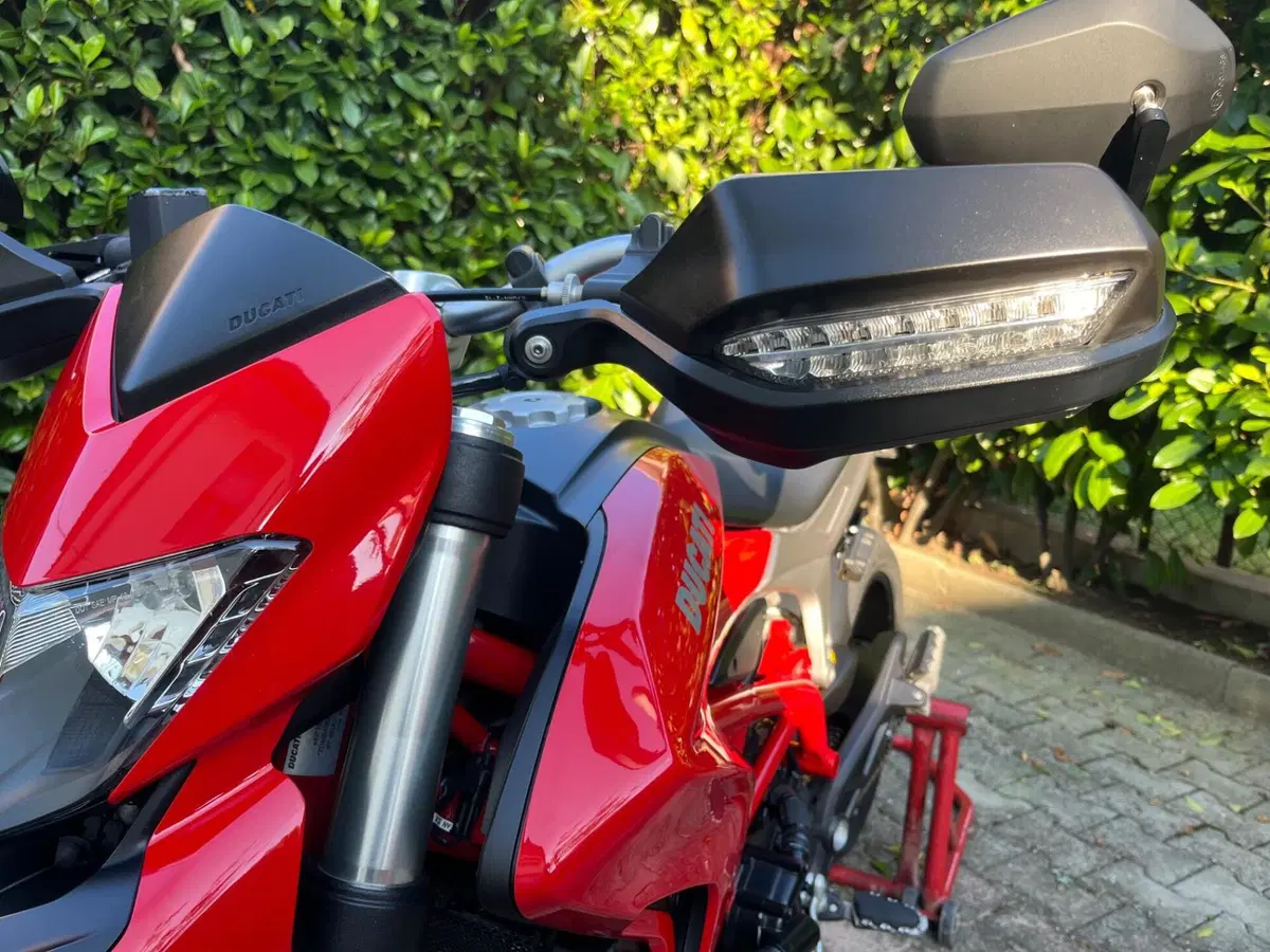 Ducati Hypermotard 939 (2016 - 18) (10)
