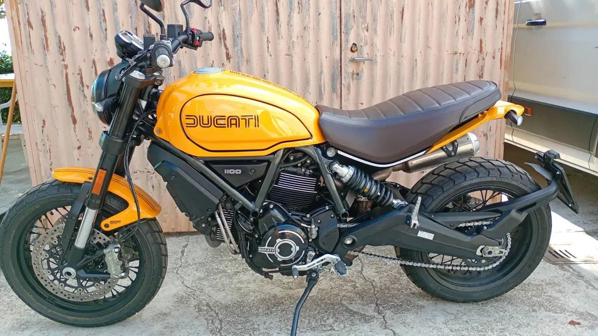 Ducati Scrambler 1100 Tribute Pro (2022 - 24) (2)