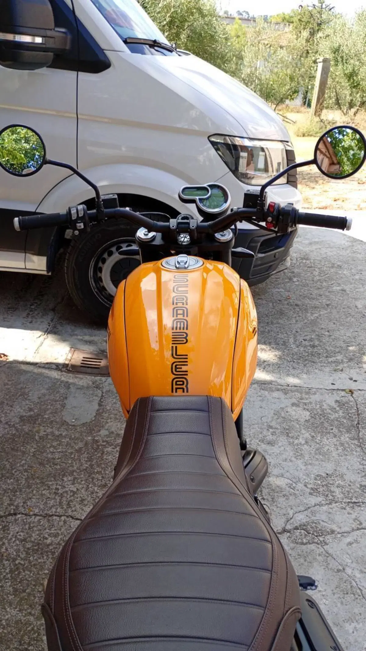 Ducati Scrambler 1100 Tribute Pro (2022 - 24) (4)