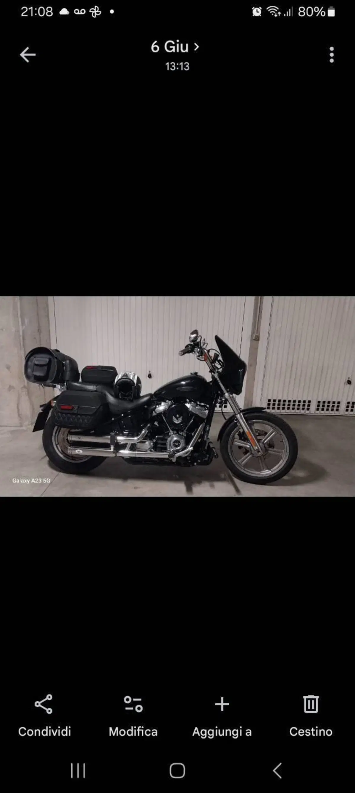 Harley-Davidson Softail Standard (2021 - 25)
