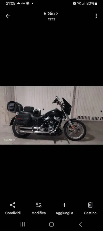 Harley-Davidson Softail Standard (2021 - 25) usata
