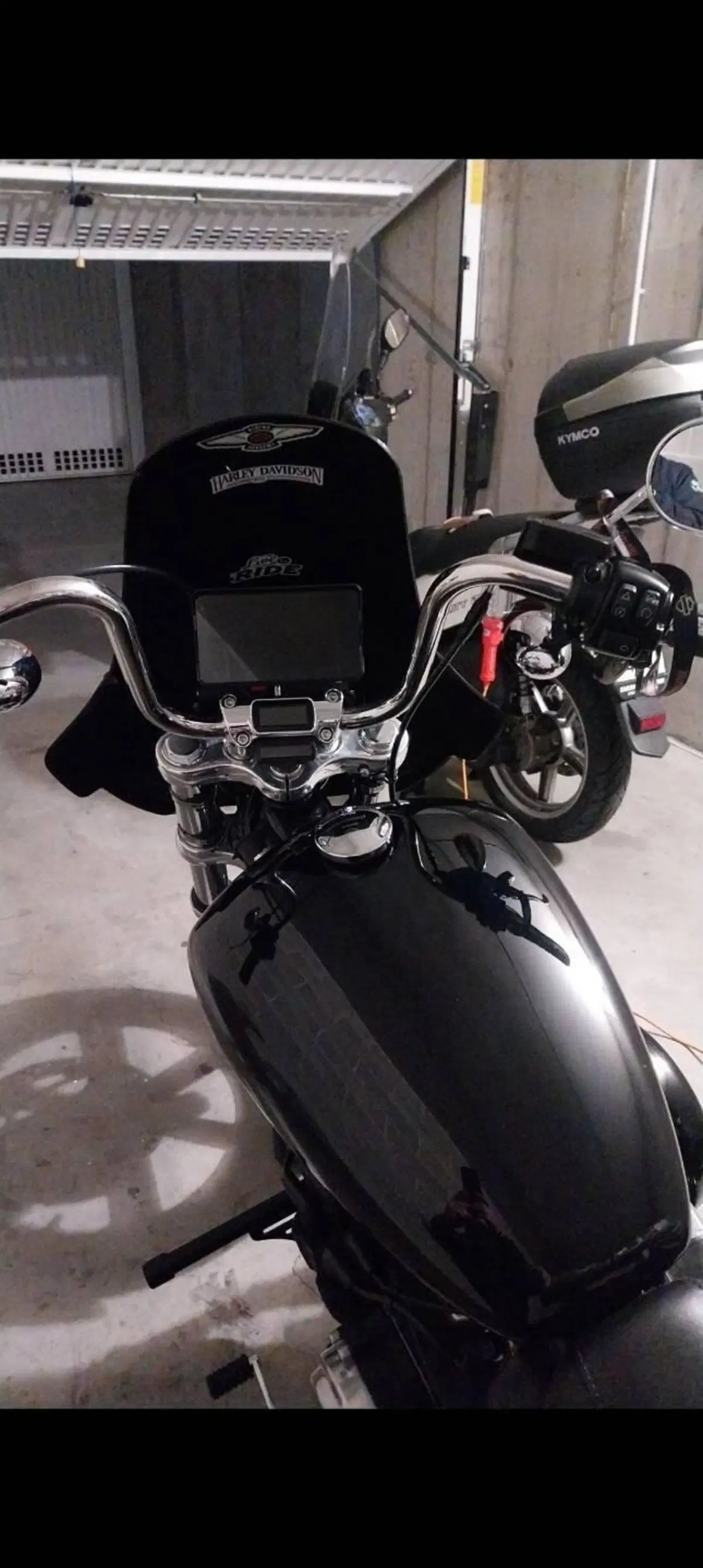 Harley-Davidson Softail Standard (2021 - 25) (5)