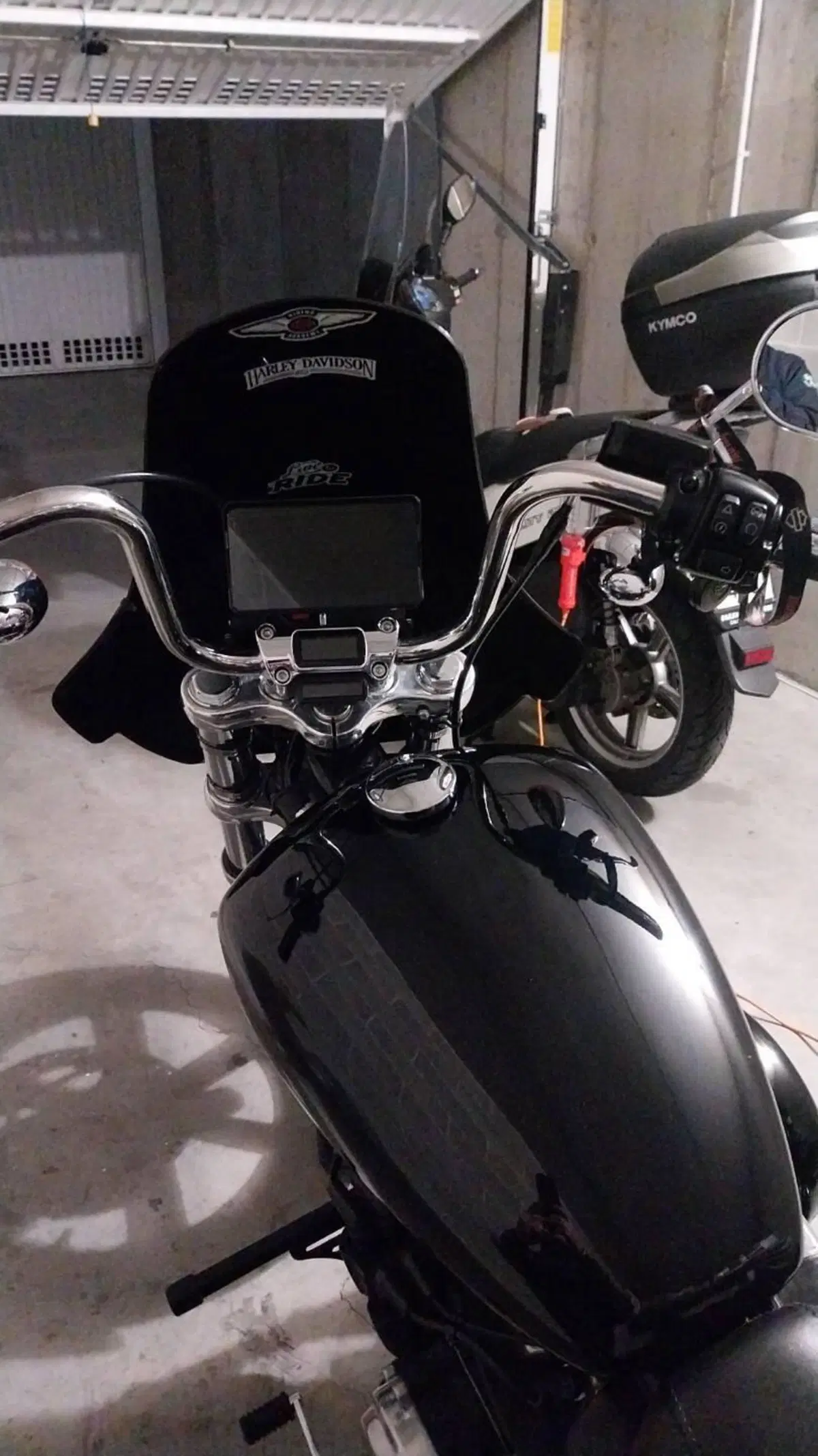 Harley-Davidson Softail Standard (2021 - 25) (6)
