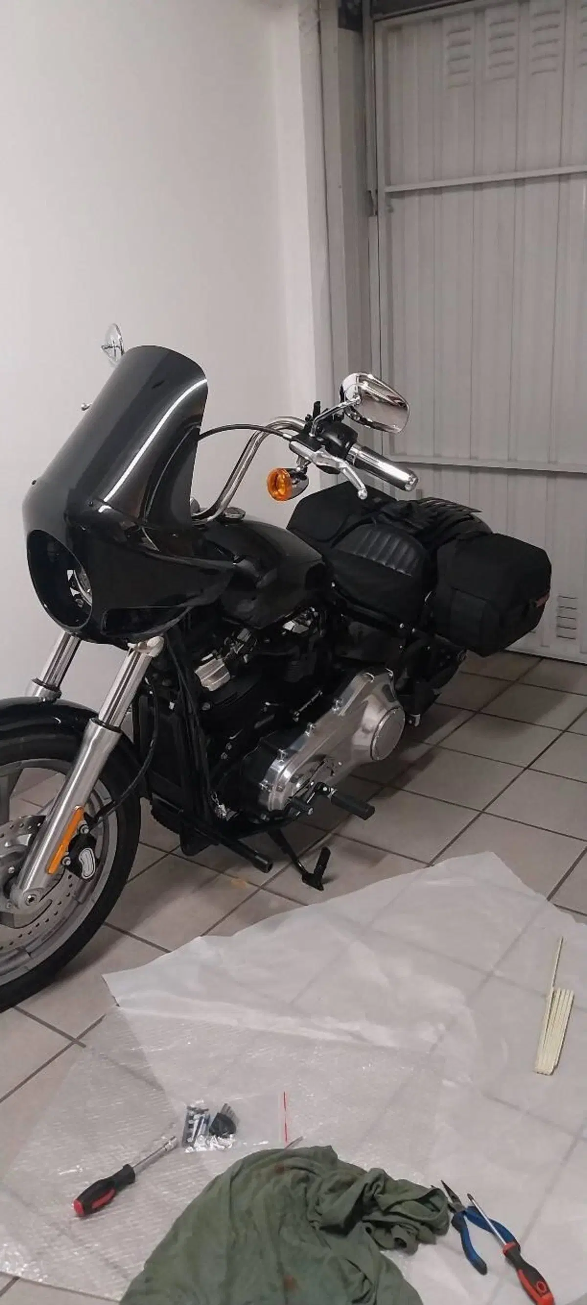 Harley-Davidson Softail Standard (2021 - 25) (7)