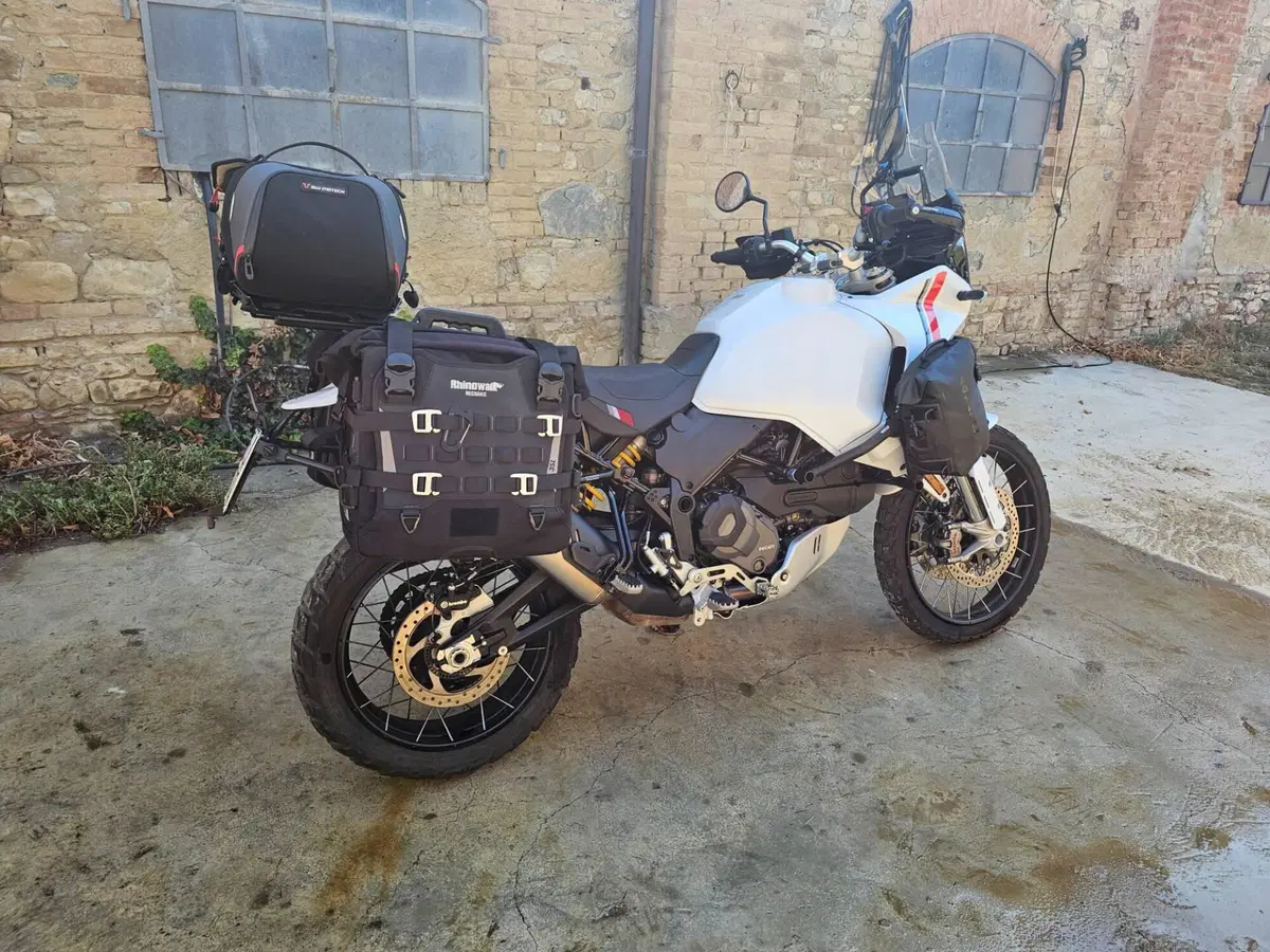 Ducati DesertX (2022 - 25) (4)