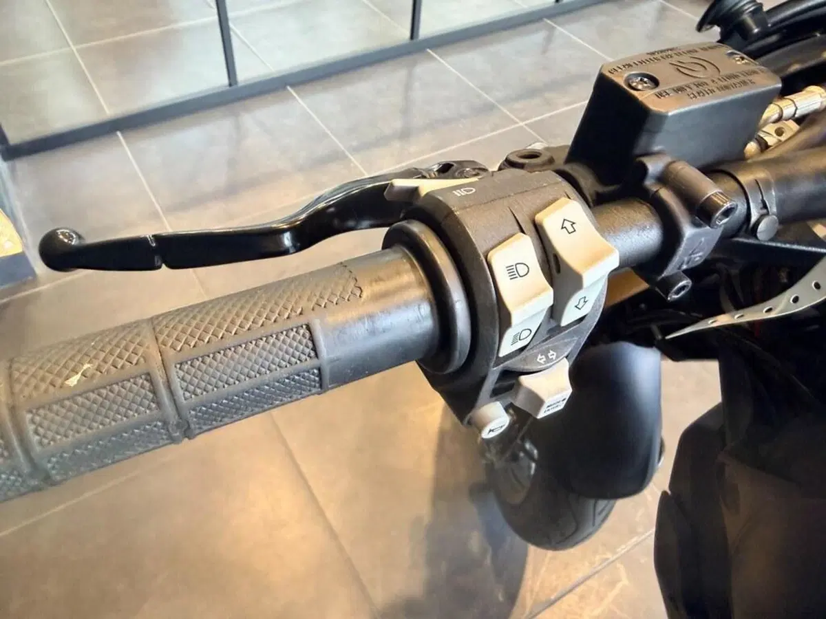 Ducati Scrambler 1100 Sport Pro (2020 - 25) (8)