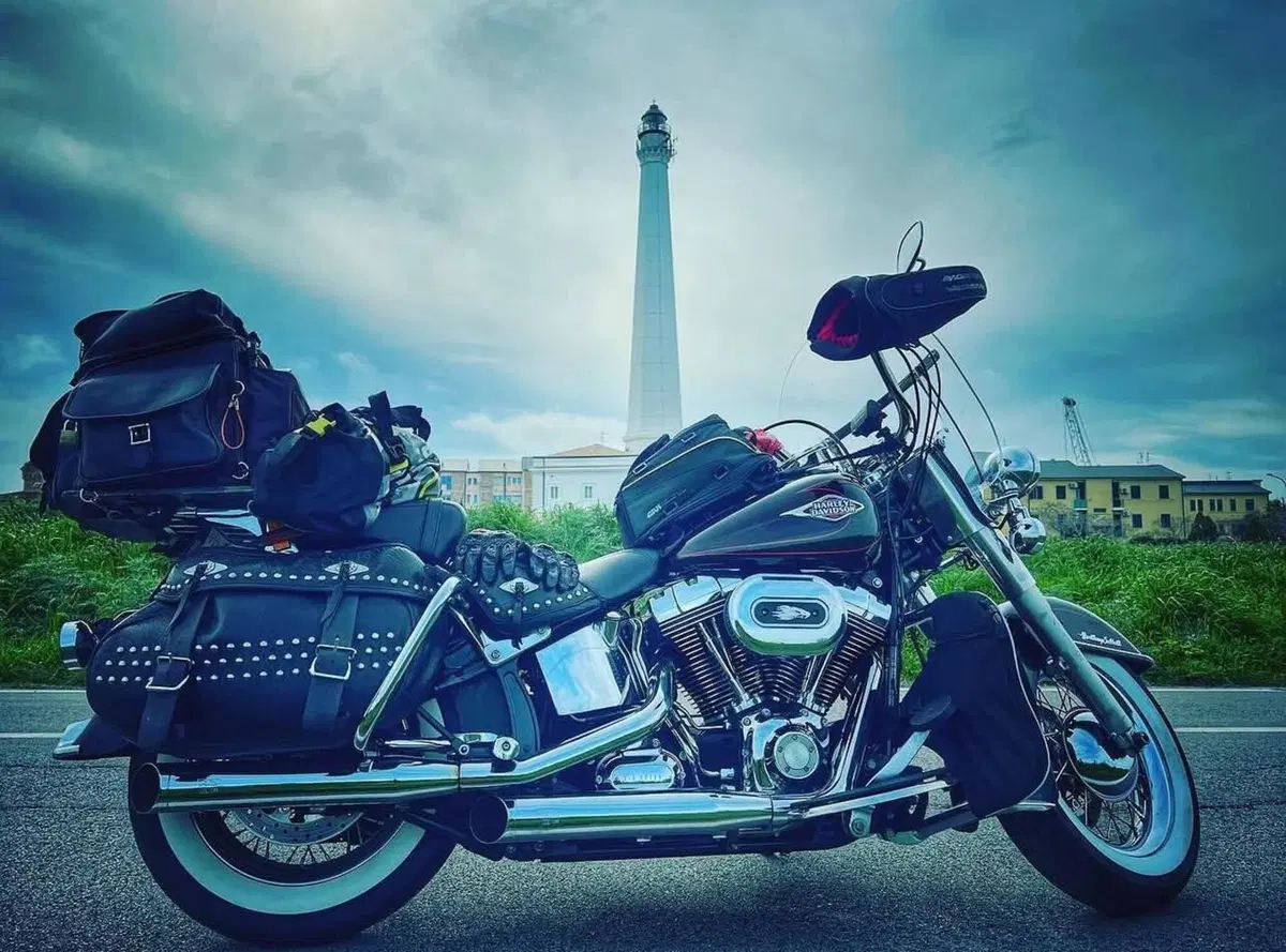 Harley-Davidson 1584 Heritage Classic (2008 - 10) - FLSTC (6)