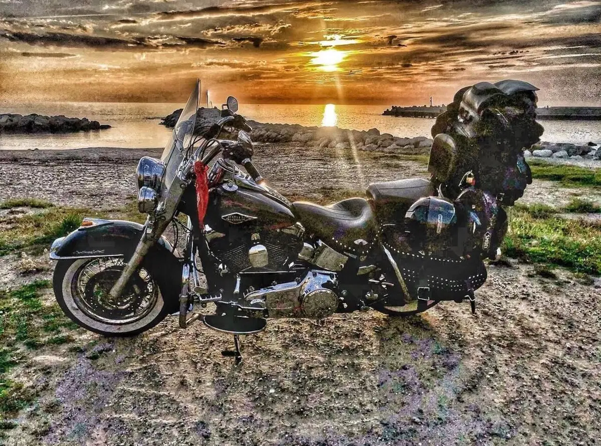 Harley-Davidson 1584 Heritage Classic (2008 - 10) - FLSTC (7)