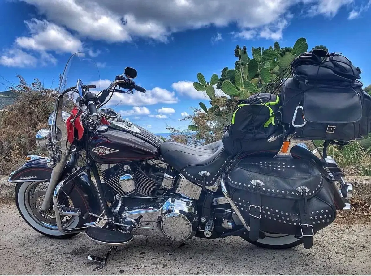 Harley-Davidson 1584 Heritage Classic (2008 - 10) - FLSTC (8)