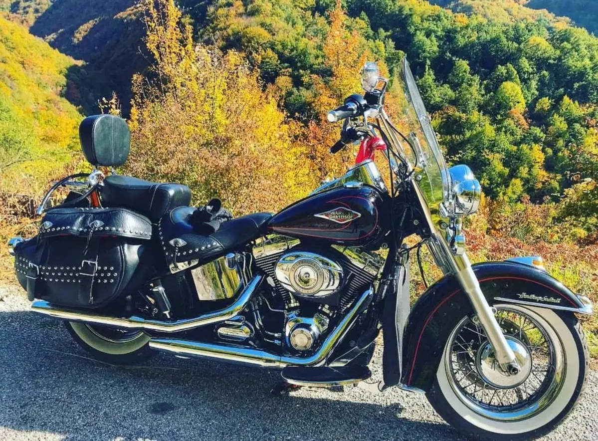 Harley-Davidson 1584 Heritage Classic (2008 - 10) - FLSTC (9)
