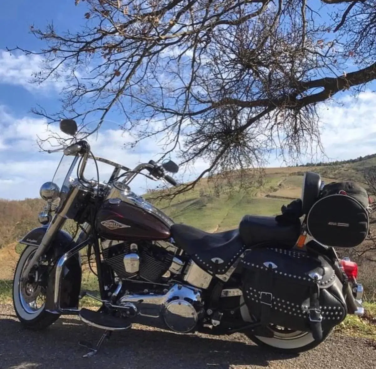 Harley-Davidson 1584 Heritage Classic (2008 - 10) - FLSTC (11)