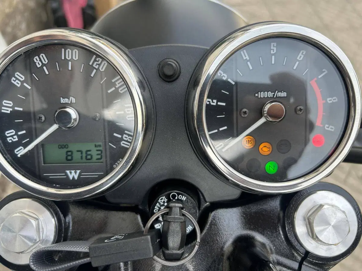Kawasaki W 800 Cafè (2019 - 21) (4)