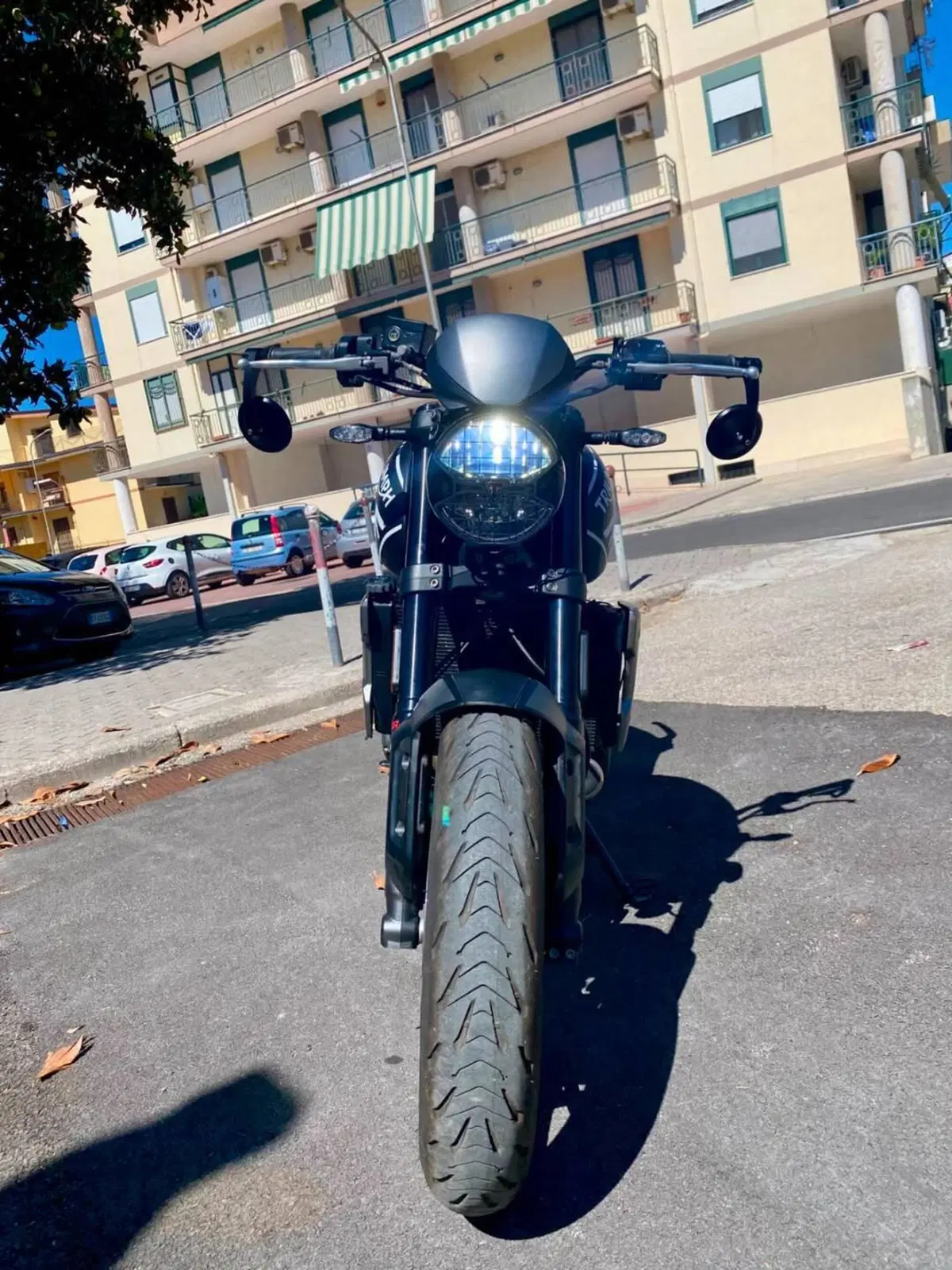 Triumph Trident 660 (2021 - 24) (4)
