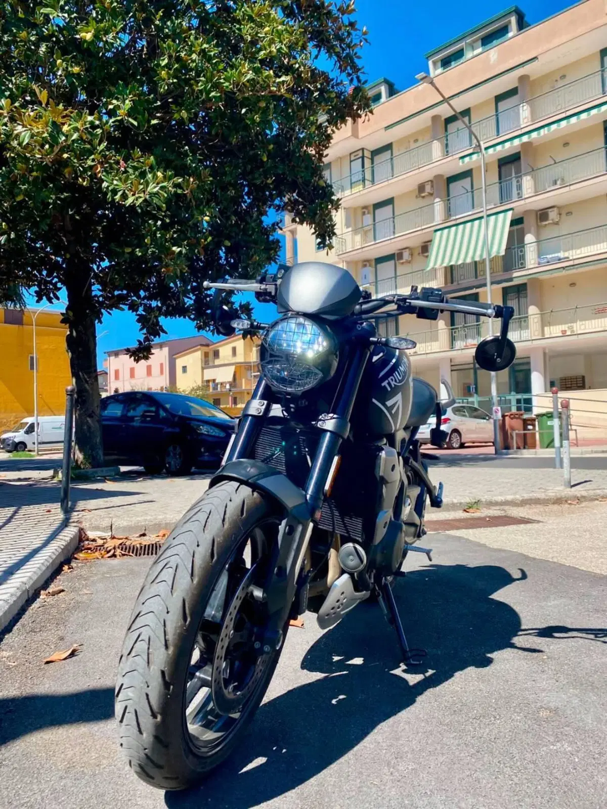 Triumph Trident 660 (2021 - 24) (8)