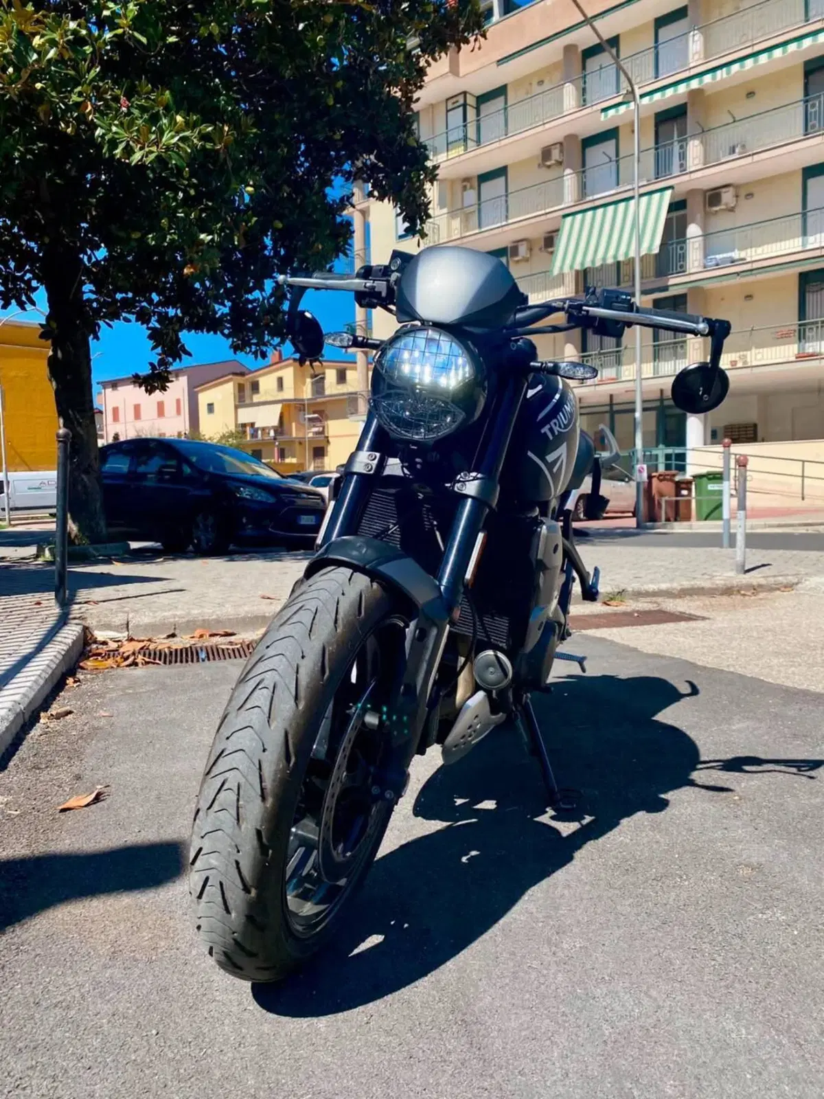 Triumph Trident 660 (2021 - 24) (9)