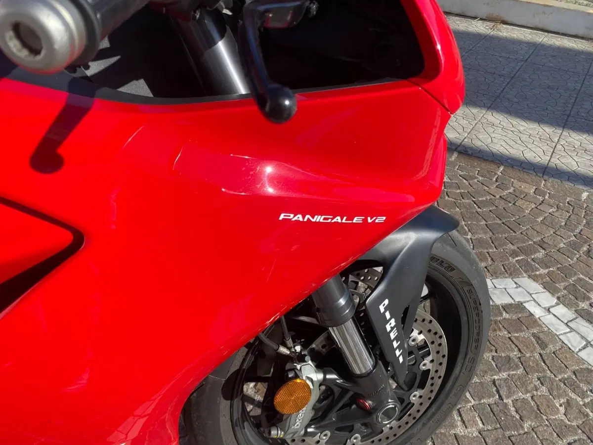 Ducati Panigale V2 (2021 - 24) (6)
