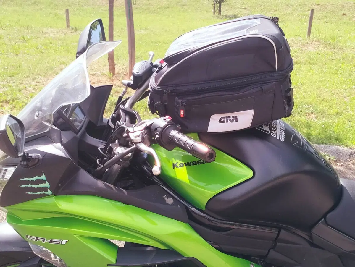 Kawasaki ER-6F ABS (2012 - 16) (6)
