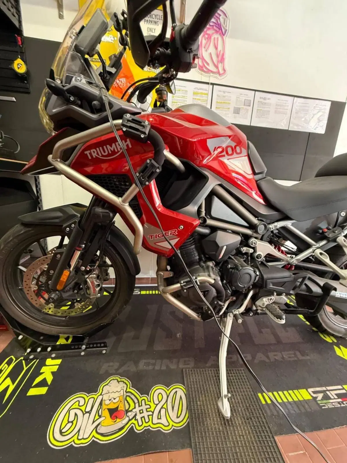 Triumph Tiger 1200 GT Pro (2024 - 26) (3)