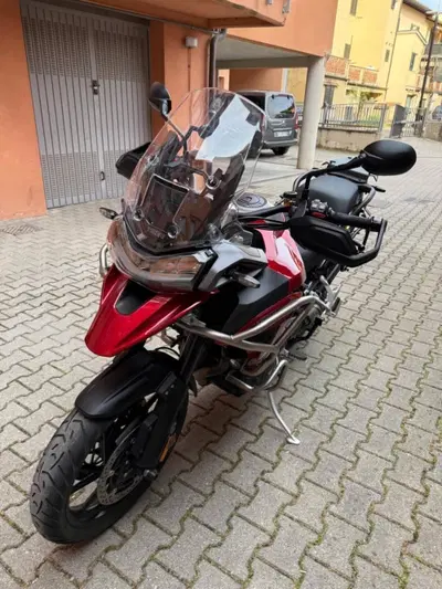 Triumph Tiger 1200 GT Pro (2024 - 26) usata