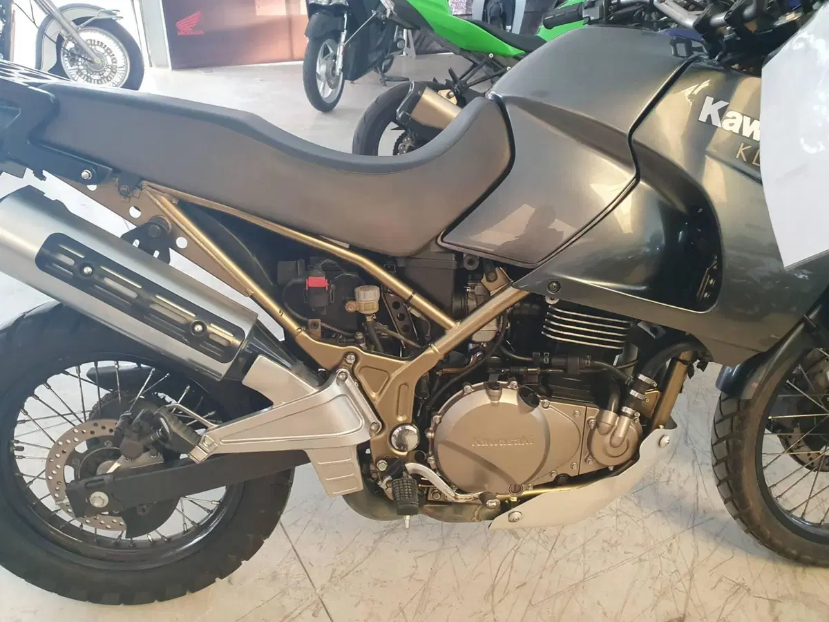 Kawasaki KLE 500 (2005 - 06) (2)