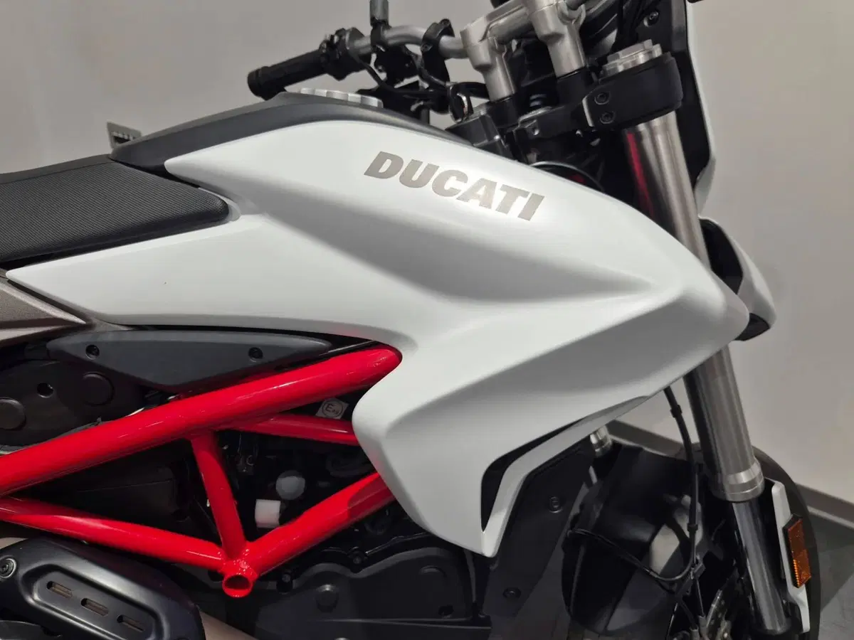 Ducati Hypermotard 939 (2016 - 18) (11)