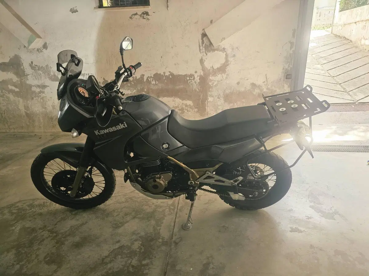 Kawasaki KLE 500 (2005 - 06) (7)