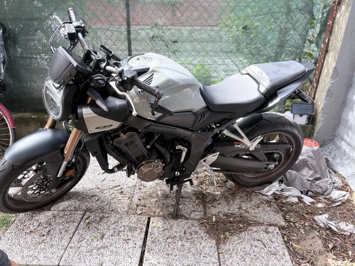 Honda CB 650 R E-Clutch (2024 - 26)