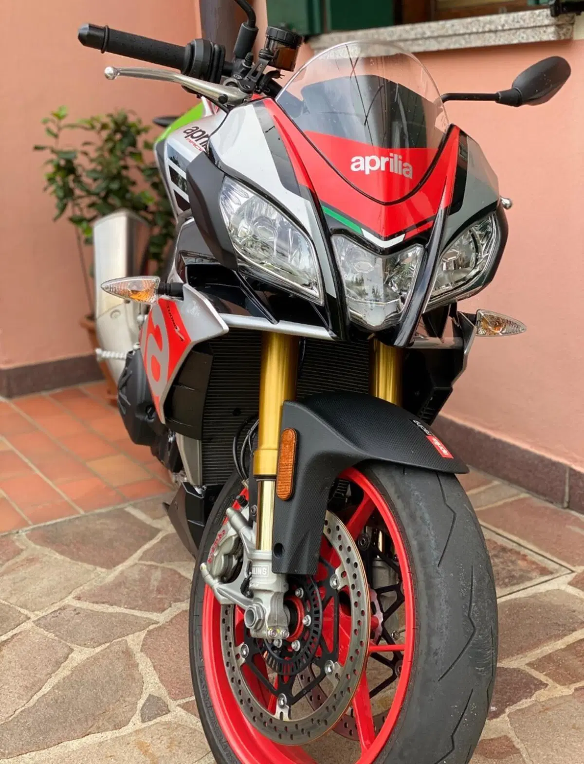 Aprilia Tuono V4 Factory (2017 - 18) (5)