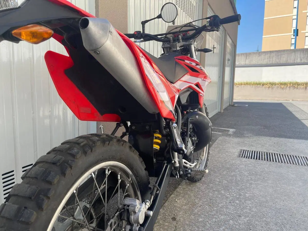 Betamotor RR 50 Enduro (2018 - 20) (4)